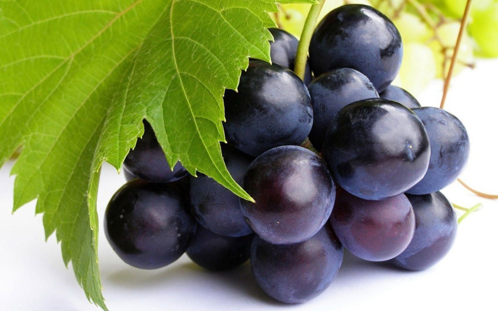 Как повысить сопротивляемость винограда к болезням?